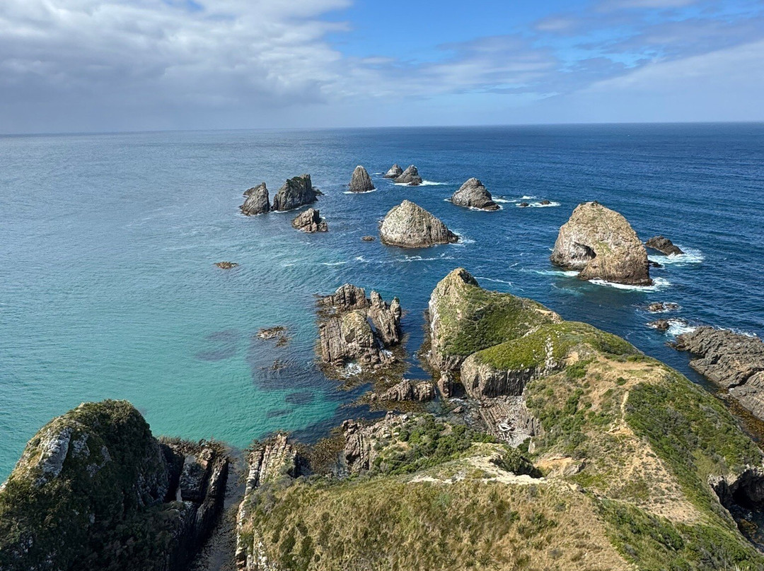 Russian Guides Australia-悉尼必去景点