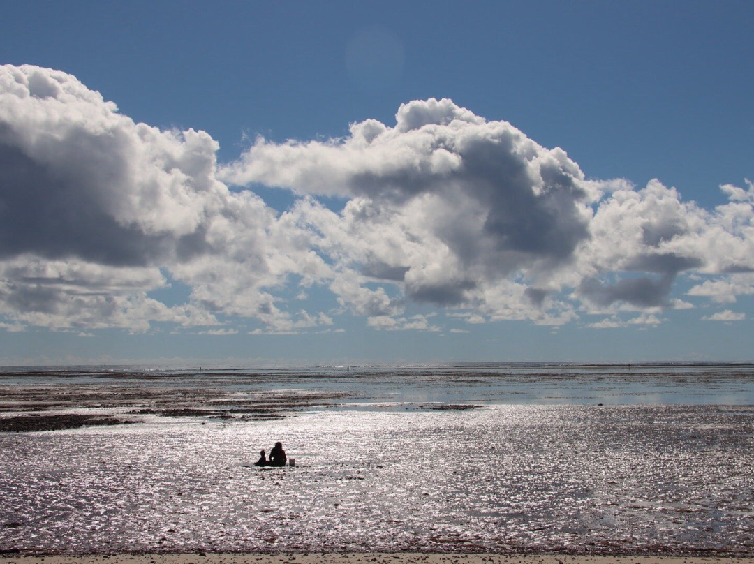 Hotel Karapitangui主图