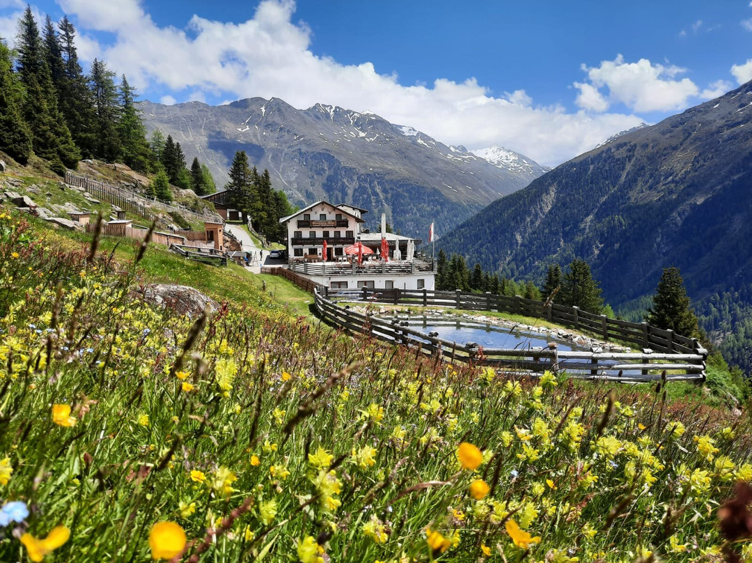 Zwieselstein酒店住宿-Alpengasthof Gaislach-Alm
