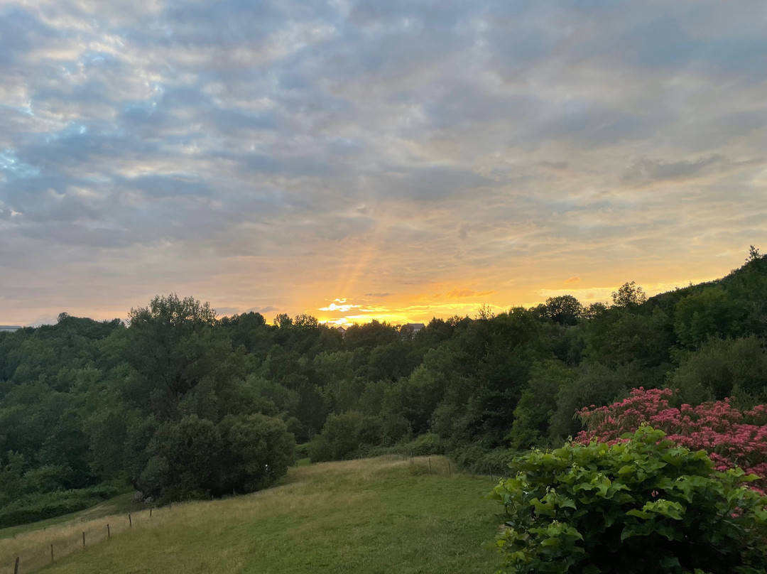 Mini Camping Le Saulet