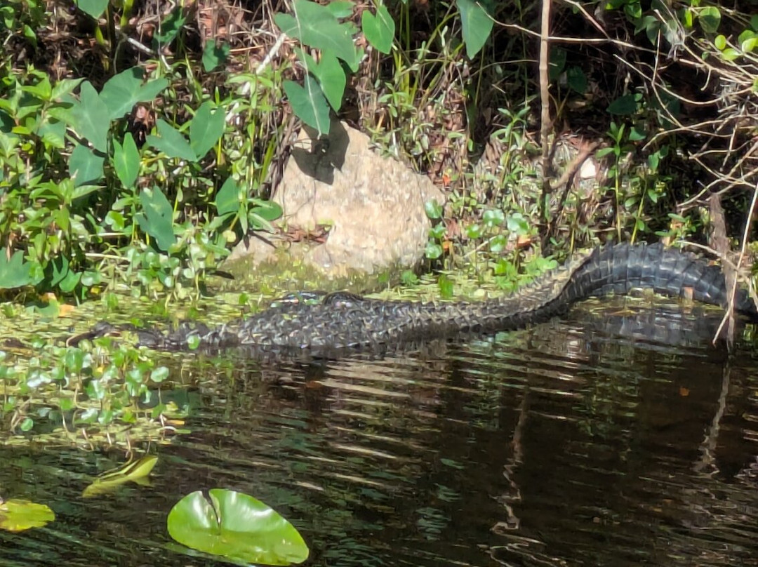 Singing River Tours-Dunnellon必去景点