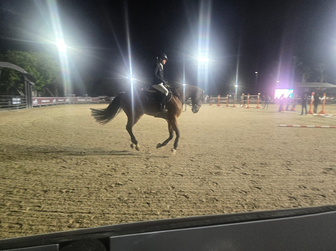 Wellington International-Wellington必去景点