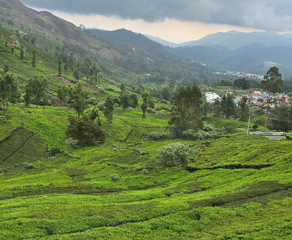 Lynfields Leisure主图