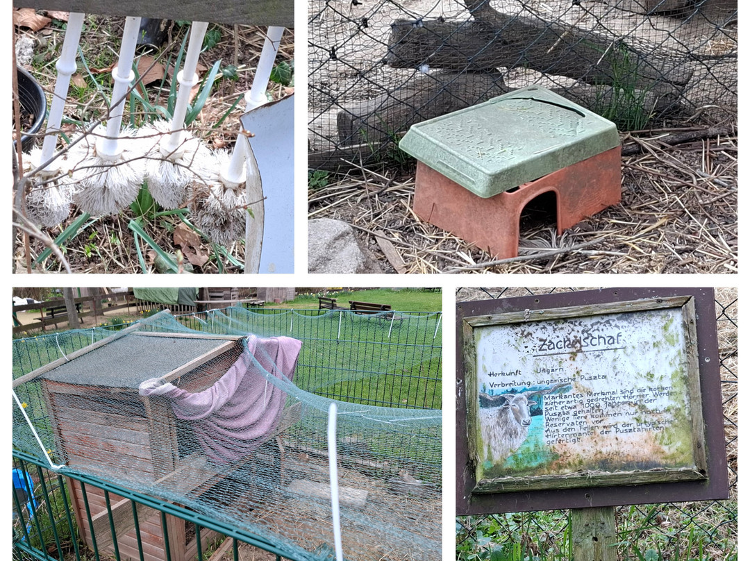 Naturerlebniszentrum Elbepark Hebelei - Tierpark Hebelei