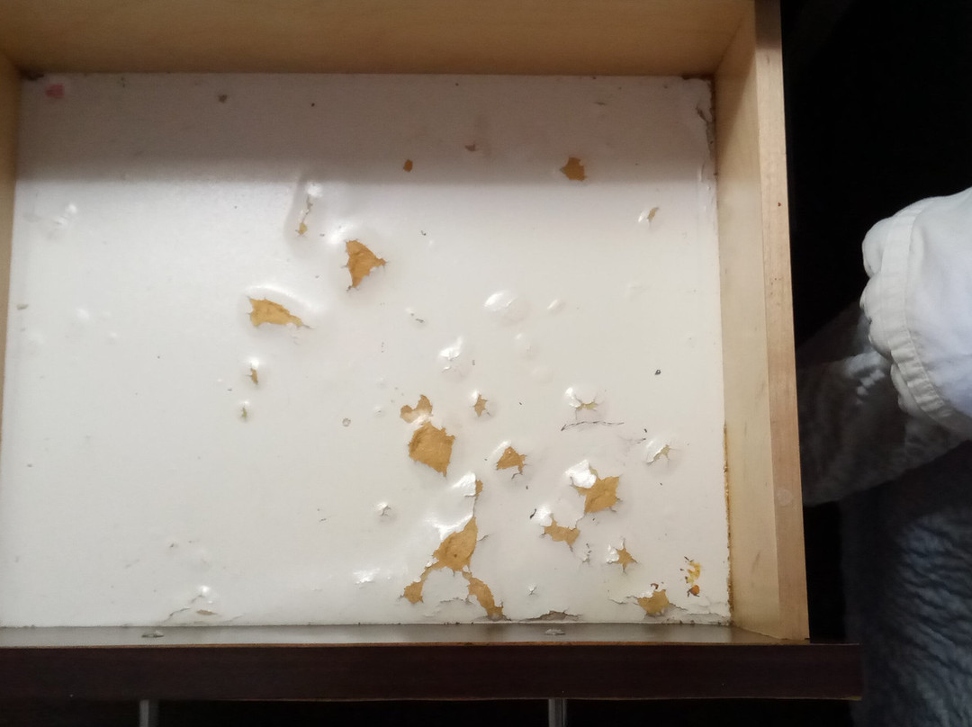 Red Roof Inn Washington, PA主图