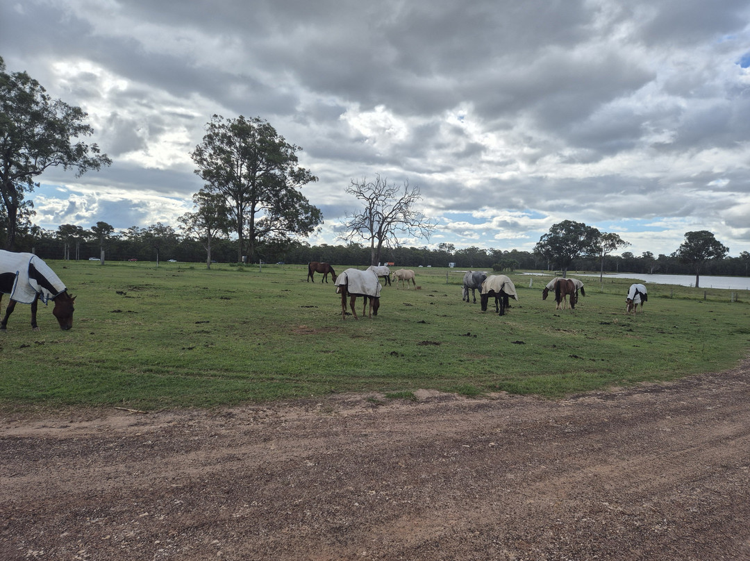 Susan River Homestead主图