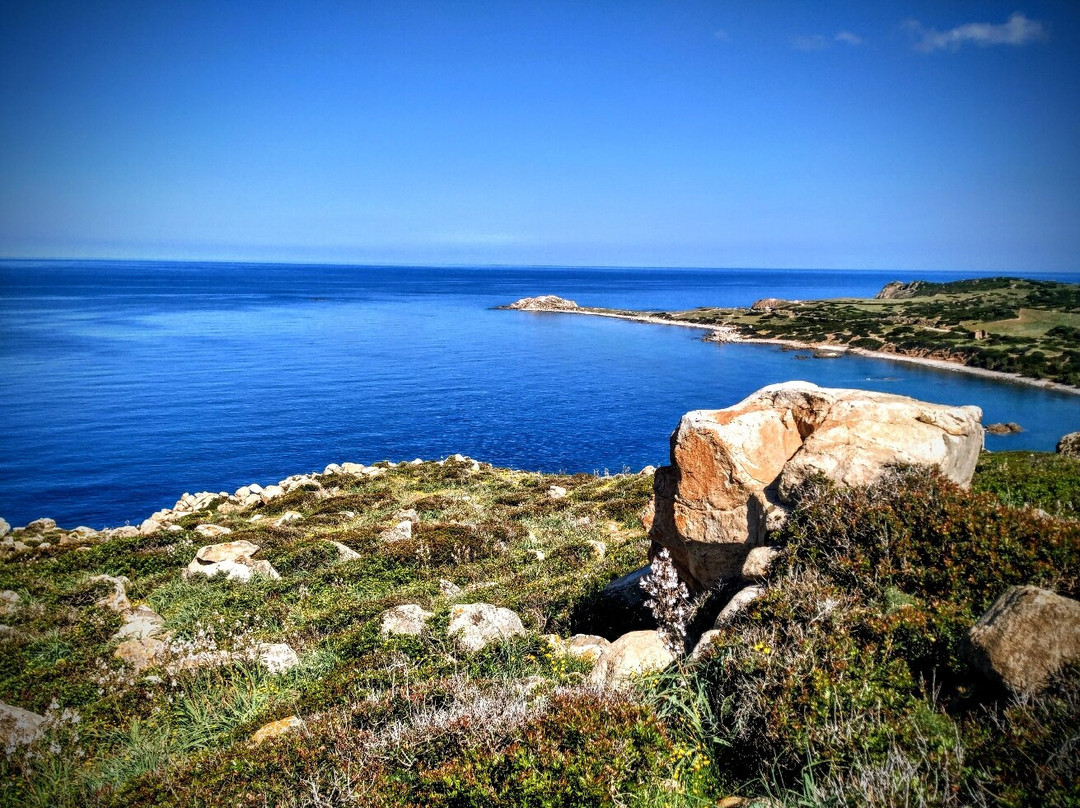 Capo Pecora Beach-阿尔布斯必去景点