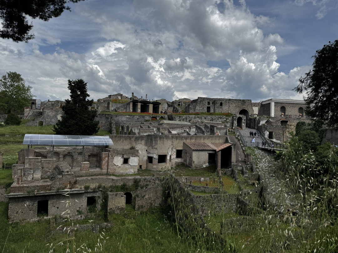 Silvia Braggio tours-Paestum必去景点