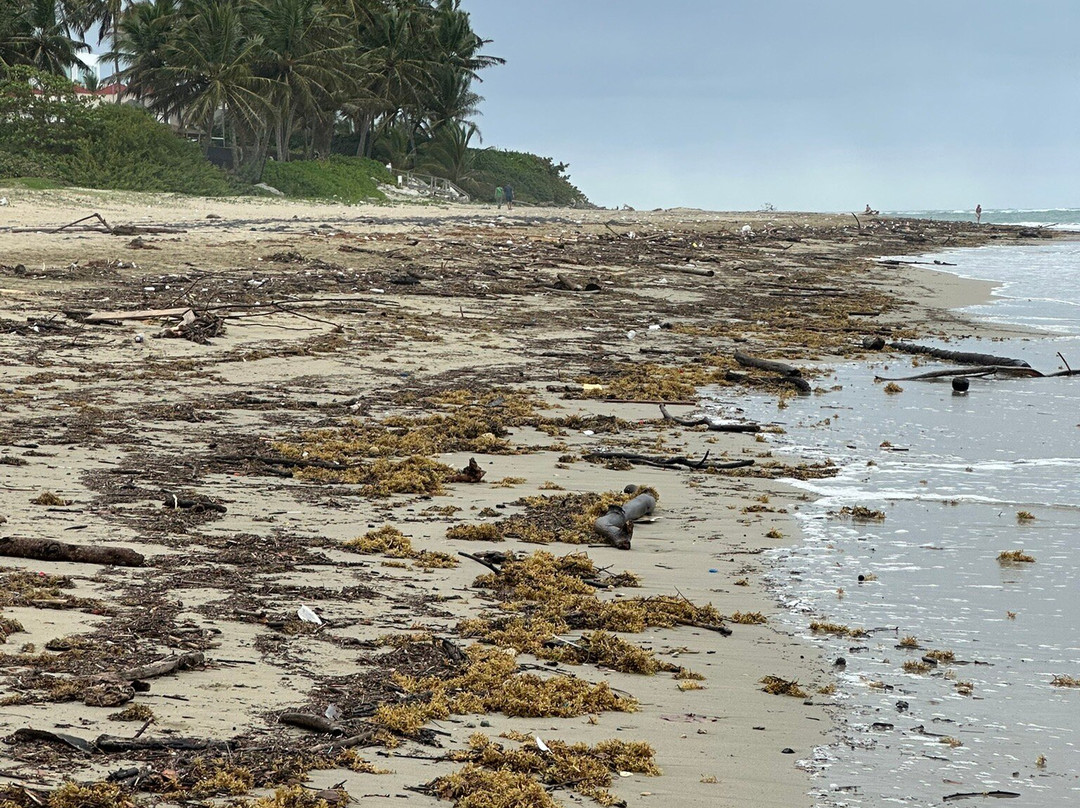 Ultravioleta Boutique Residences主图