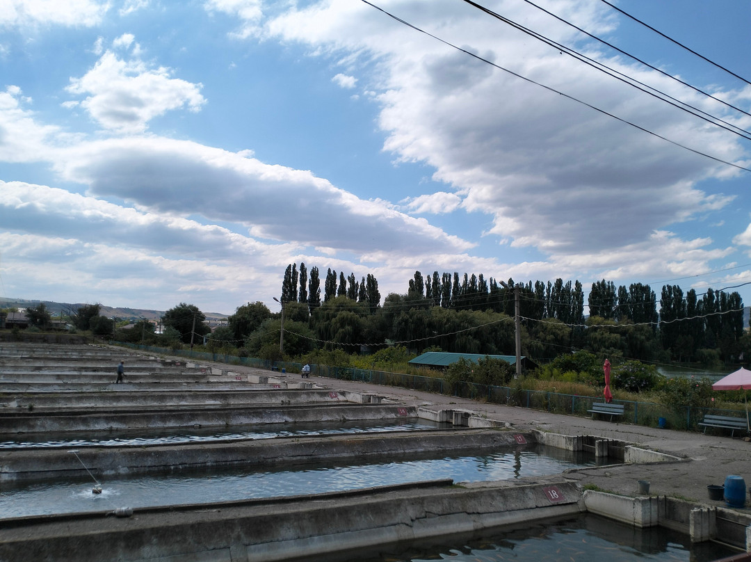 Trout Farm景点图片