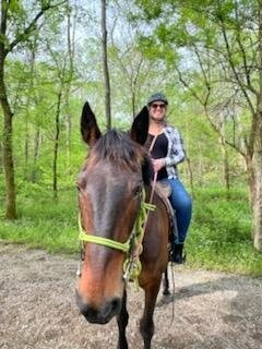 Red Fern Riding Center-Simpsonville必去景点