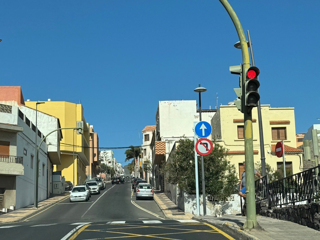 Pico De Las Nieves景点图片