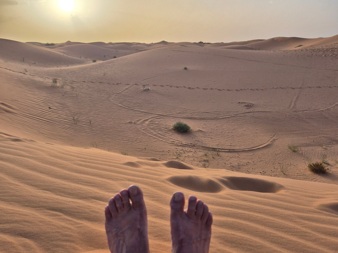 Sahara Dream Tours-伊拉悉迪亚必去景点