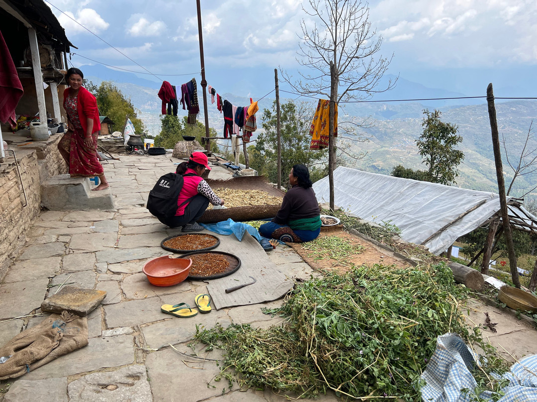 Tamagi Museum And Learning Centre-博卡拉必去景点