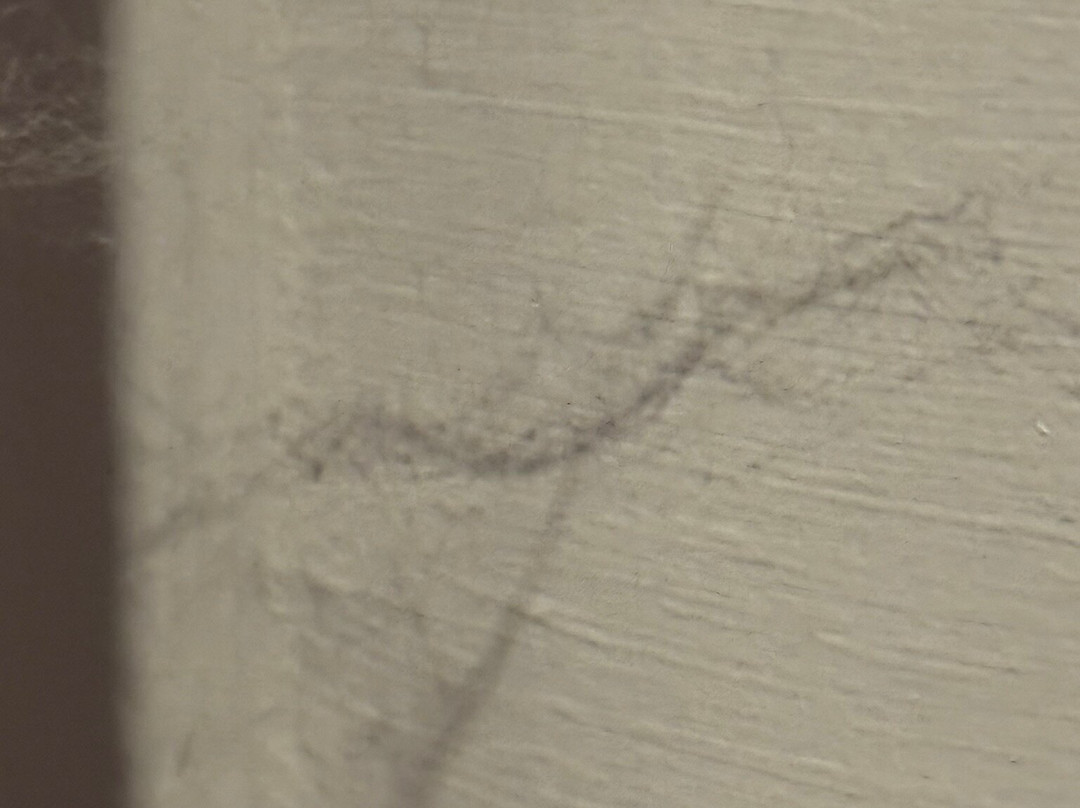 伊尔绅士酒店主图