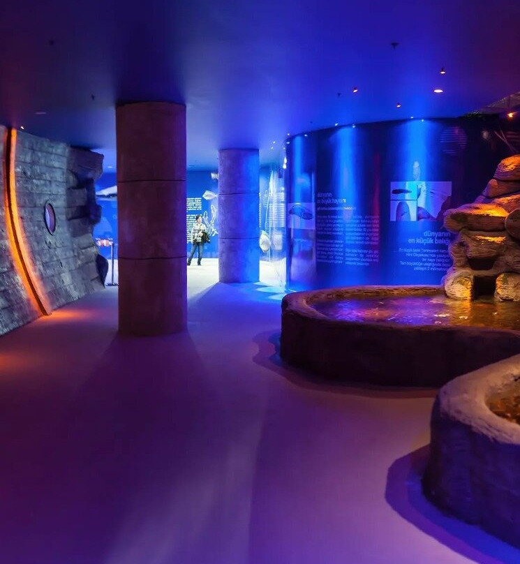 Aqua Vega Aquarium-安卡拉必去景点