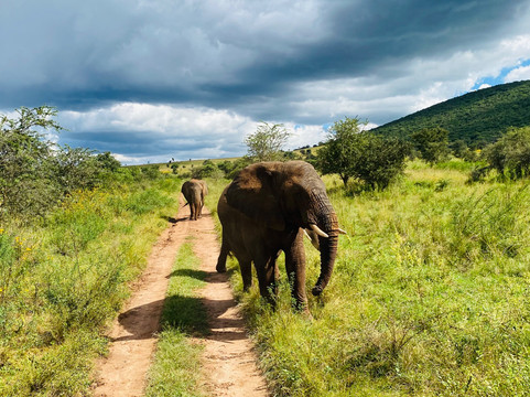 Izubasafaris-吉佳利必去景点