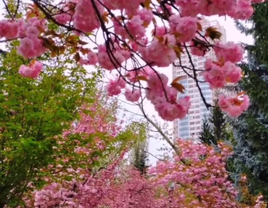 Dikmen Vadisi Park-安卡拉必去景点