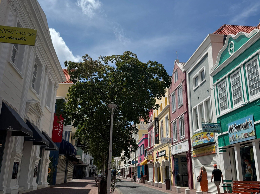 Rumba Tours Curaçao-威廉斯塔德必去景点