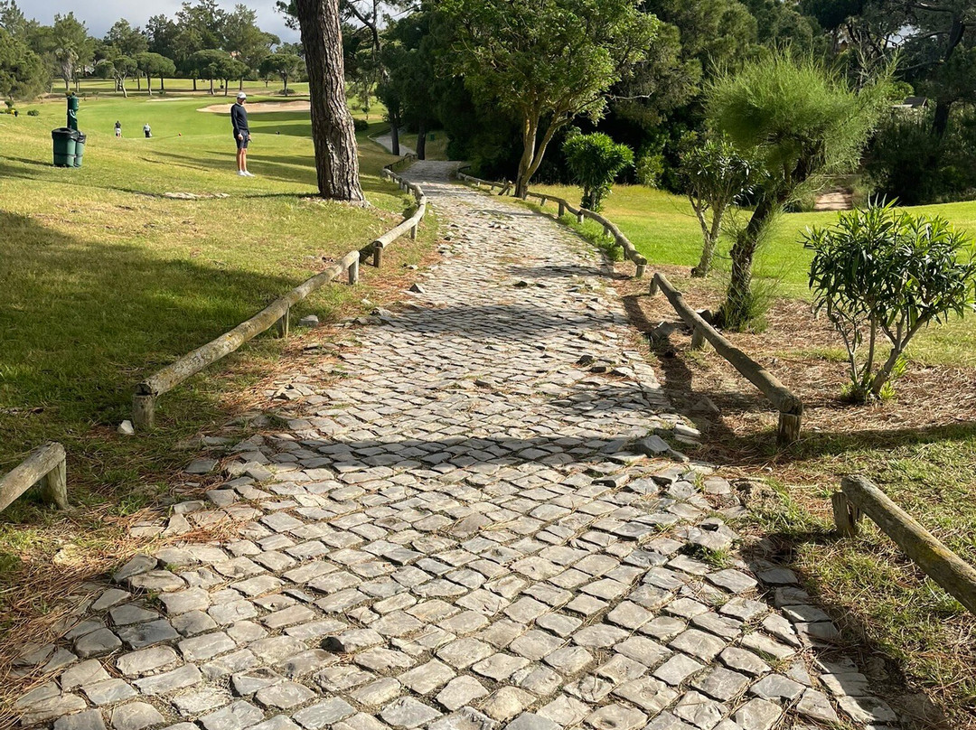San Lorenzo Golf Course景点图片