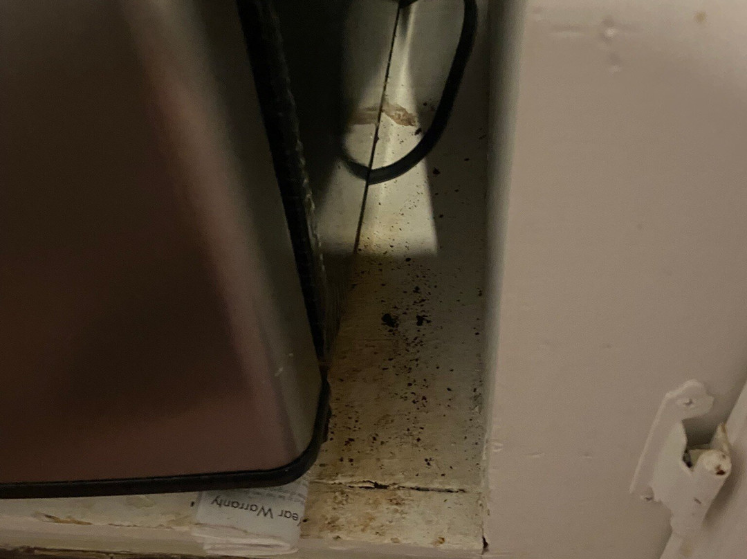 亚特兰蒂斯酒店主图