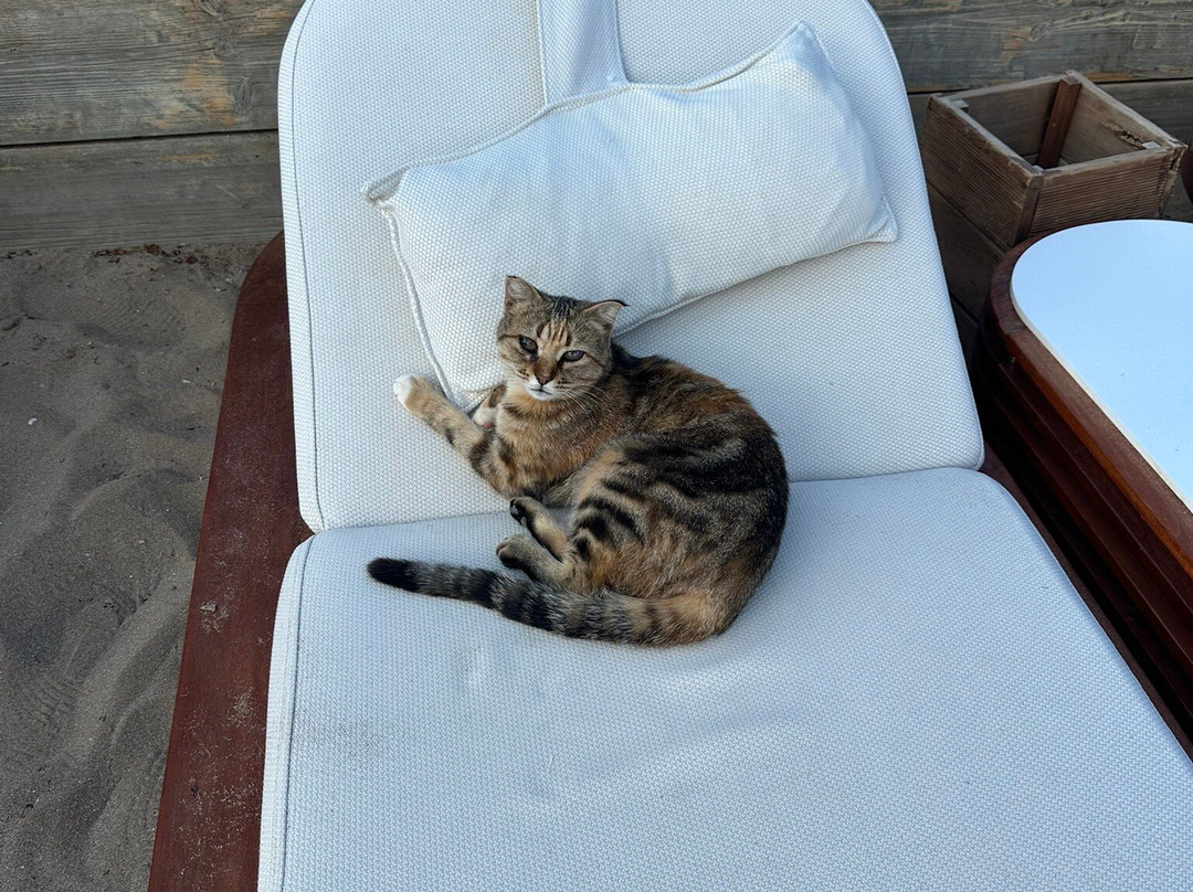 Zen Beach-沃立歌美尼必去景点