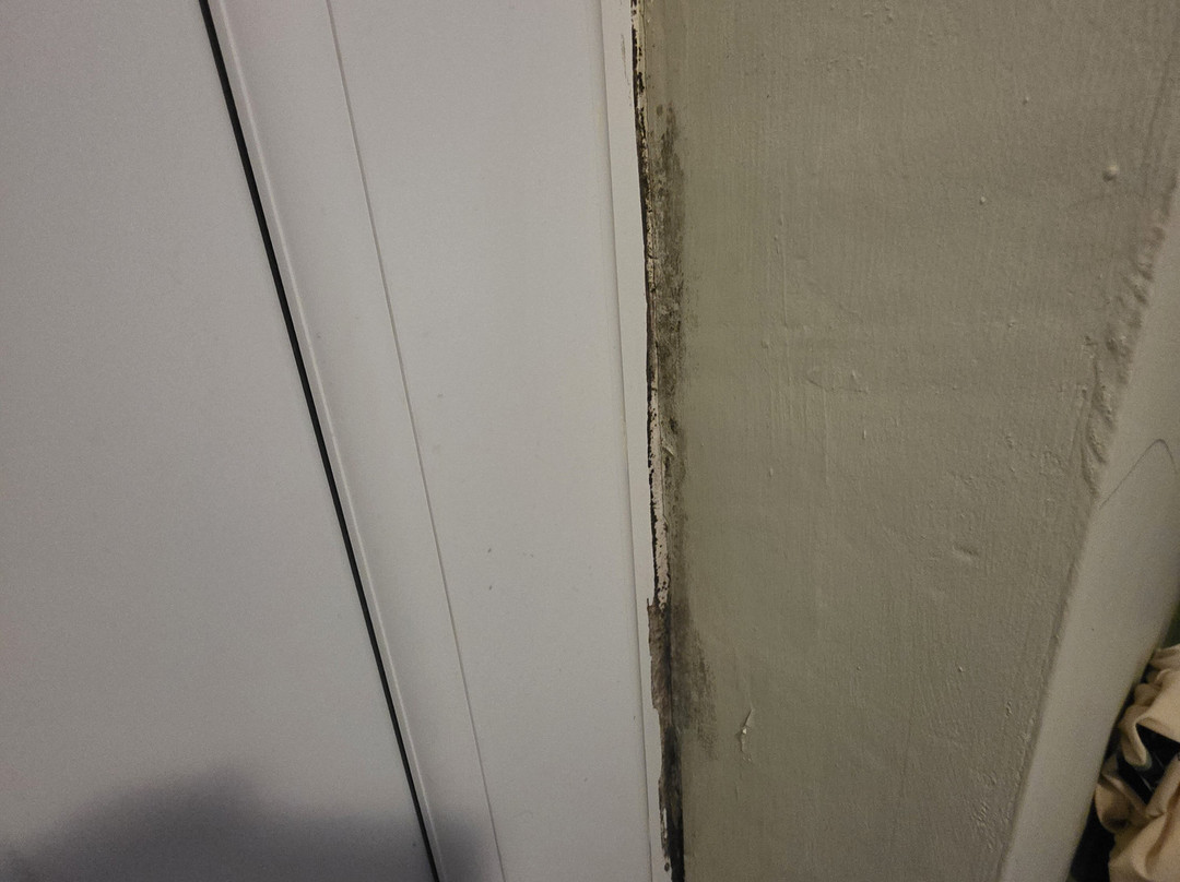 OYO The White Horse主图