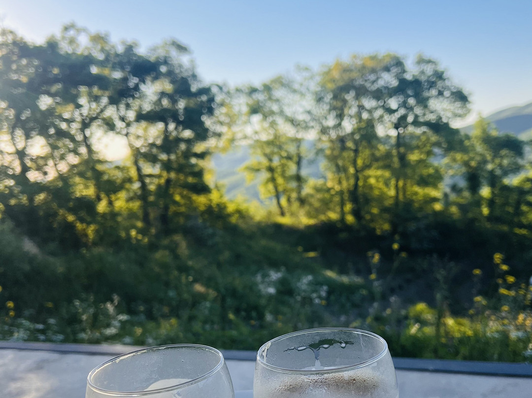 VIN Hotel - La Meridiana Montieri