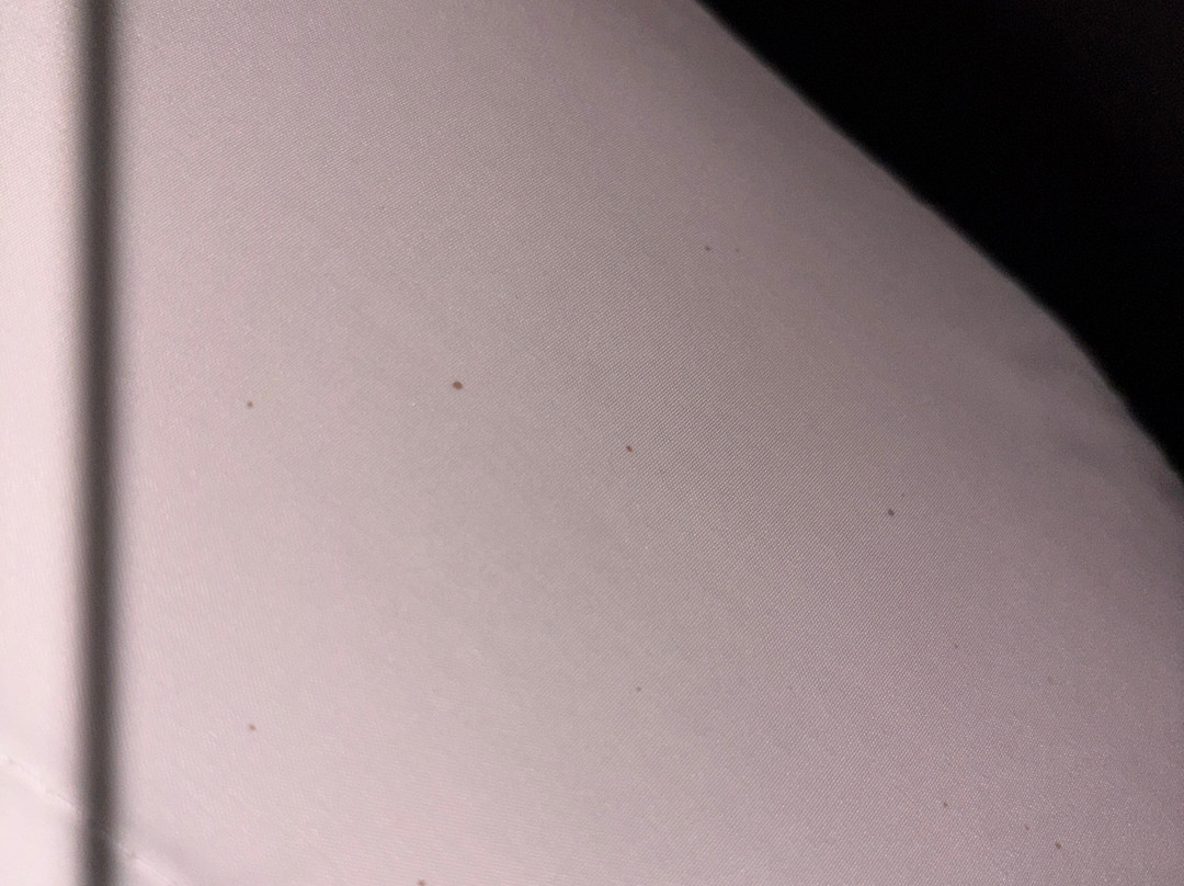 贝斯特韦斯特迪尔菲尔德旅馆主图