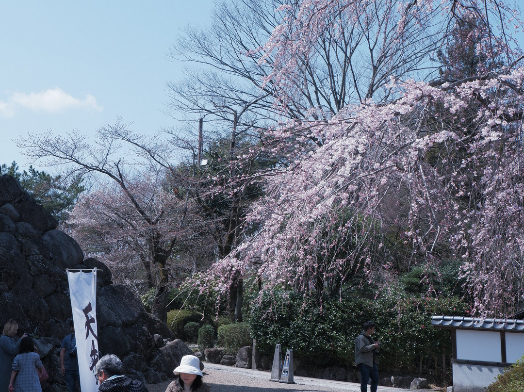 Shiroishi Castle History Museum-白石市必去景点