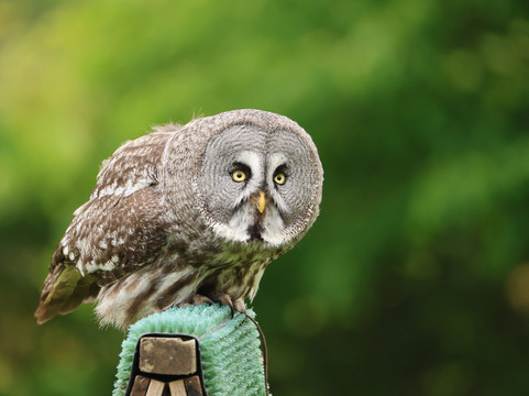 The Hawking Centre-Doddington必去景点