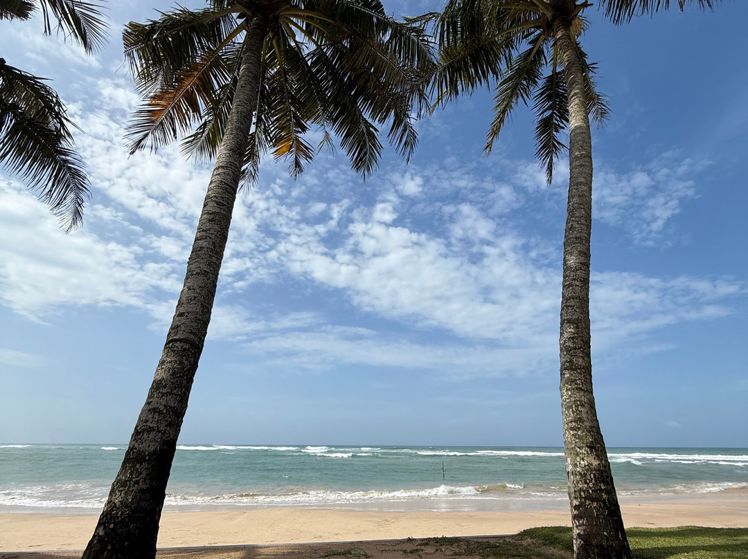 South Point Villa主图