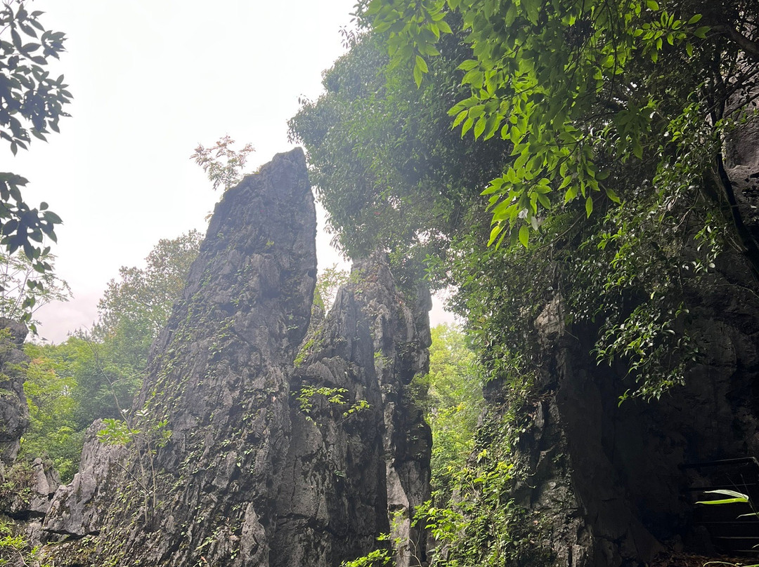 永安鳞隐石林-永安市必去景点