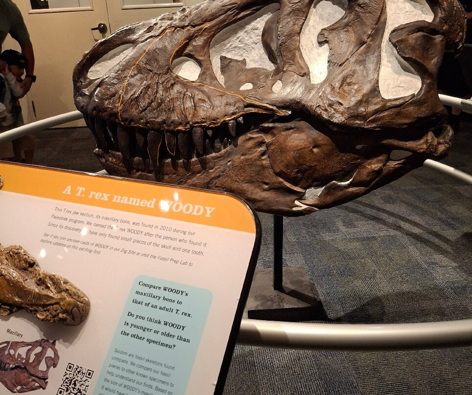 Saint Louis Science Center-圣路易斯必去景点