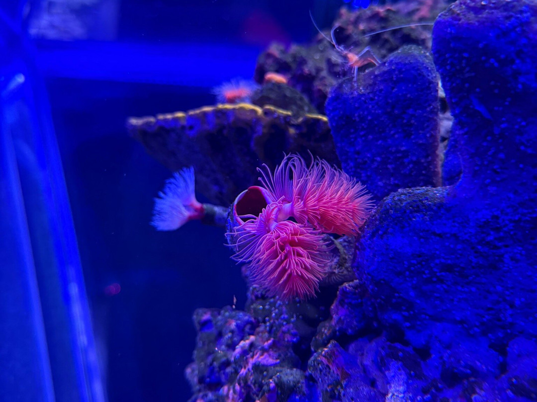 Sea Life Scarborough景点图片