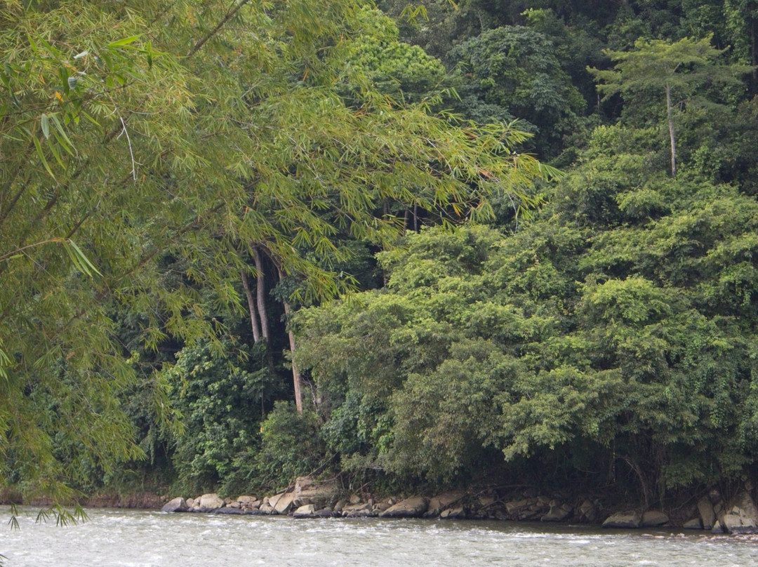 Zip Borneo-担波罗里必去景点