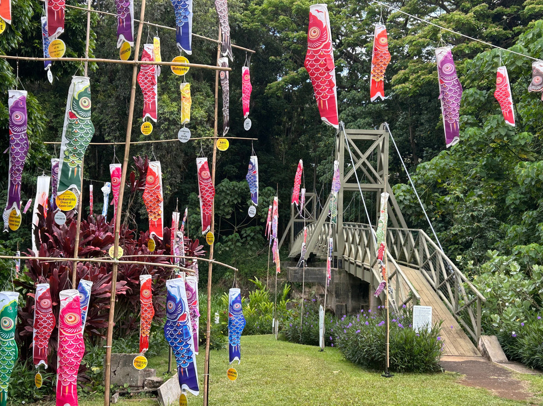 Kapaia Suspension Bridge-利胡埃必去景点