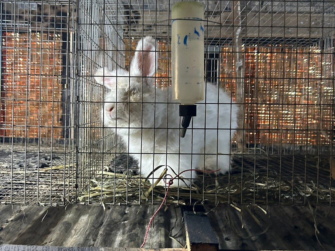 Handspun Hope-Ruhengeri必去景点