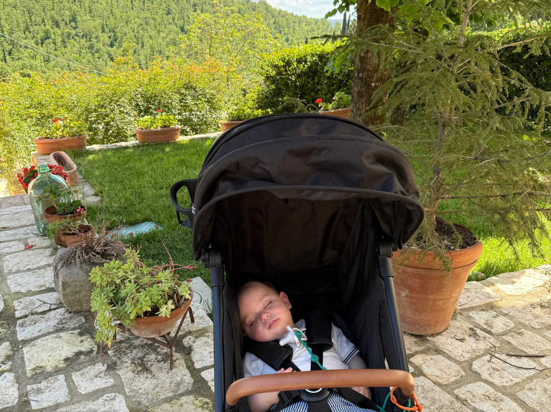 KM Zero Tours - Slow Travel Tuscany-Mercatale di Val di Pesa必去景点
