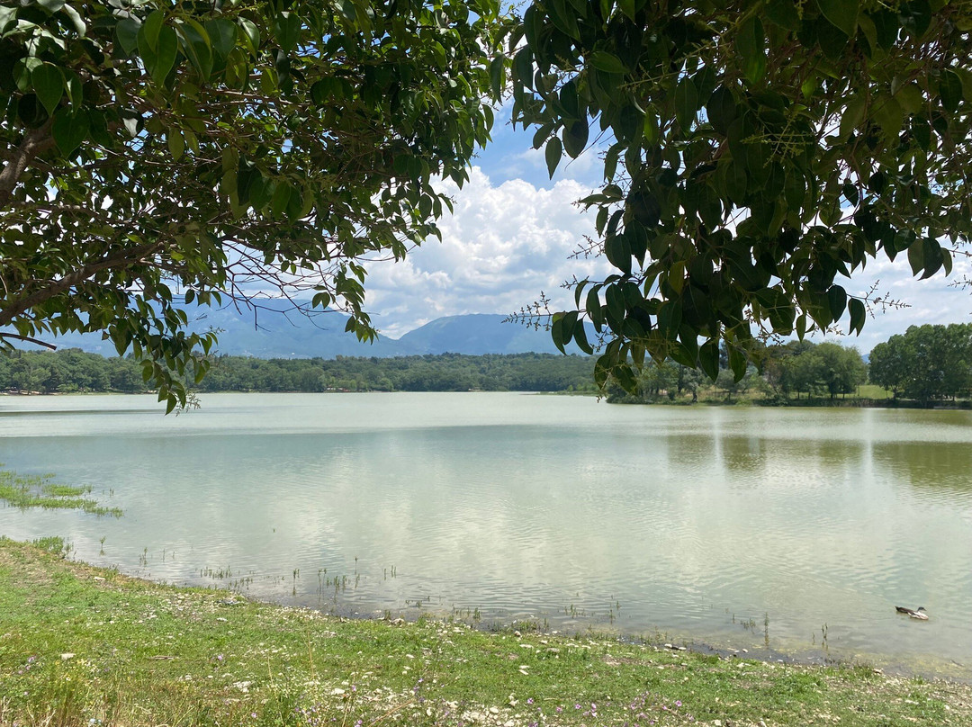 Grand Park (Parku i Madh)景点图片