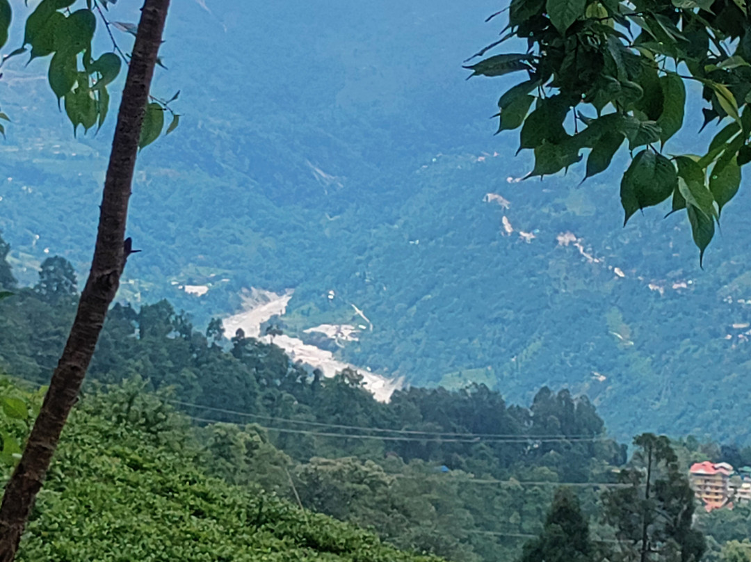 The Temi Bungalow, Eco Adventure Resorts主图