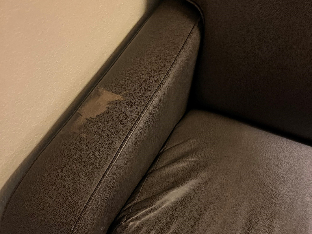 Sonesta Simply Suites Detroit Southfield主图