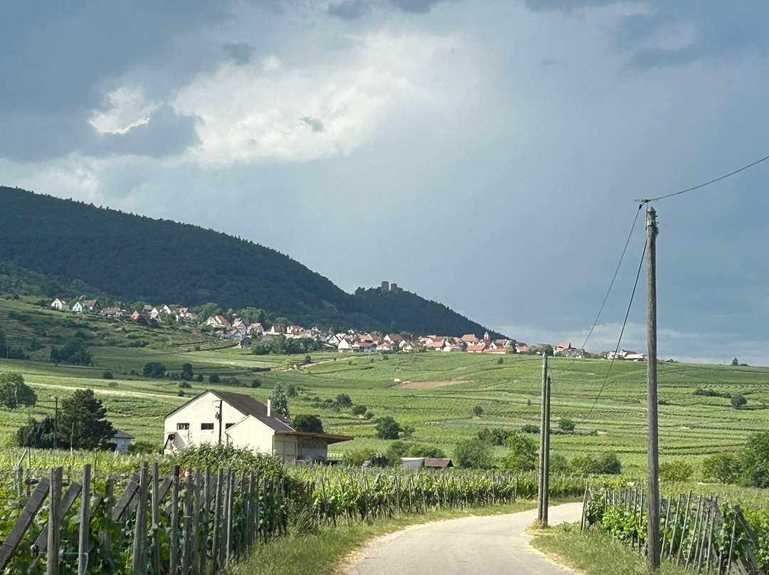 Domaine GUETH景点图片