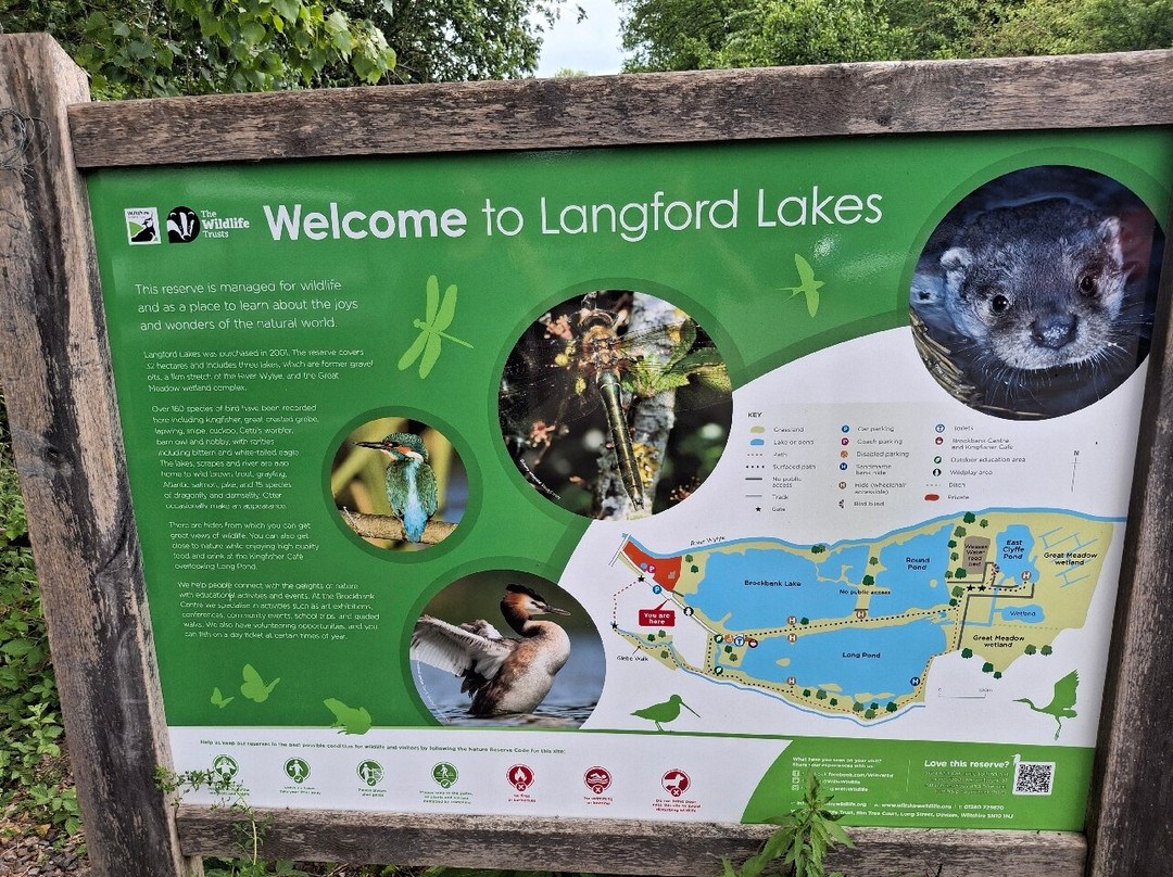 Langford Lakes Nature Reserve-Steeple Langford必去景点