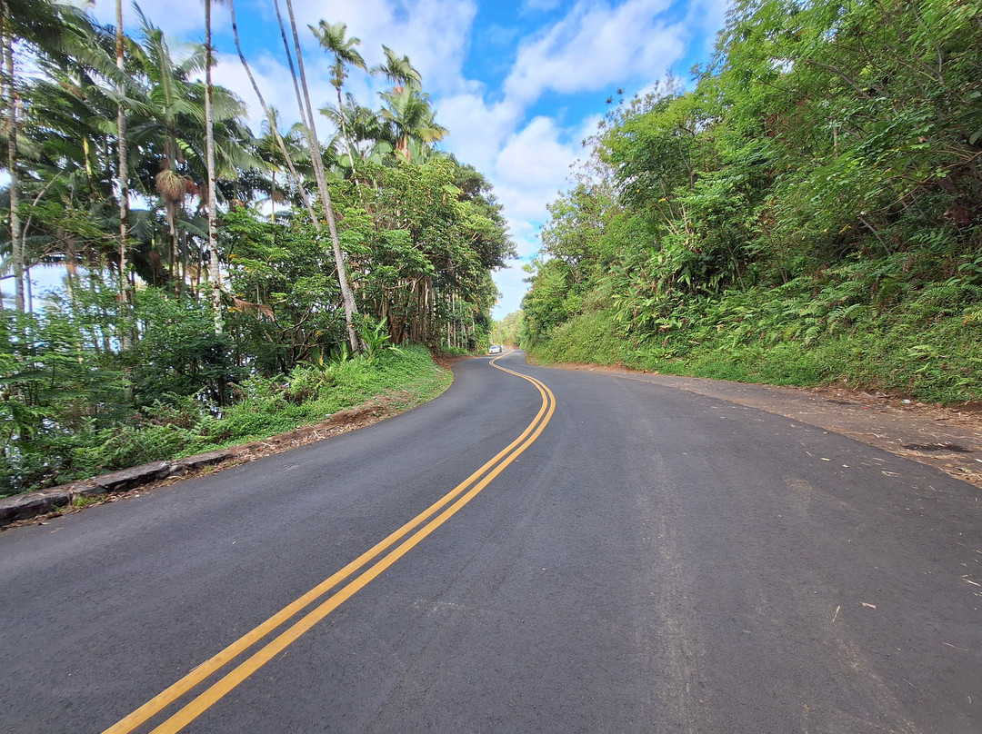 Pepeekeo Scenic Drive-希洛必去景点
