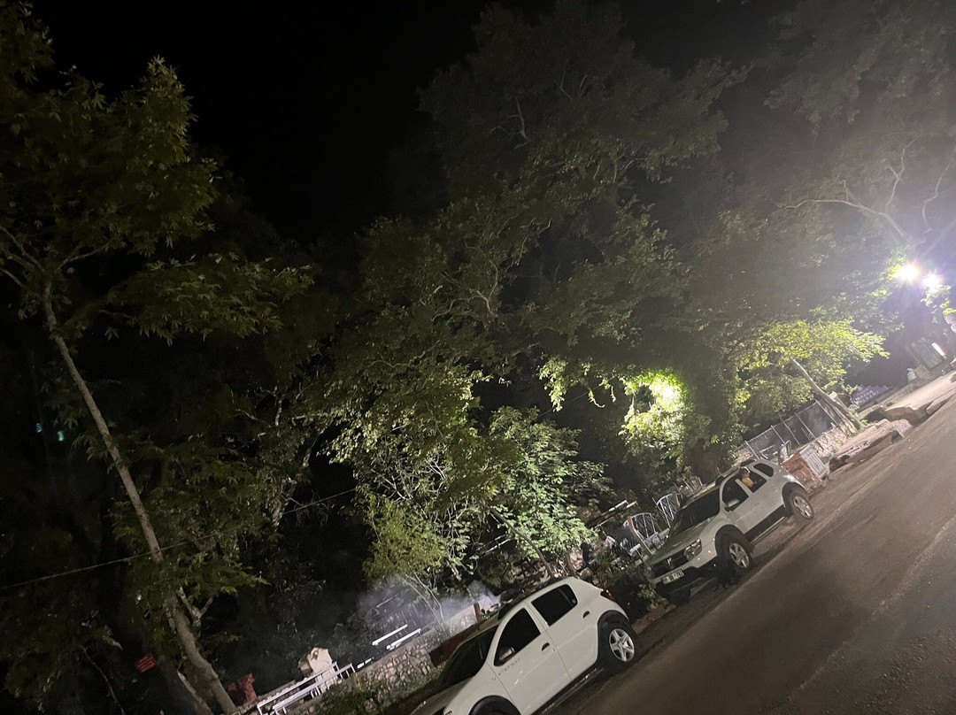 Dagilcak Tabiat Parki景点图片
