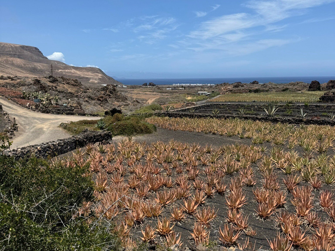 Lanzaloe-兰萨罗特必去景点