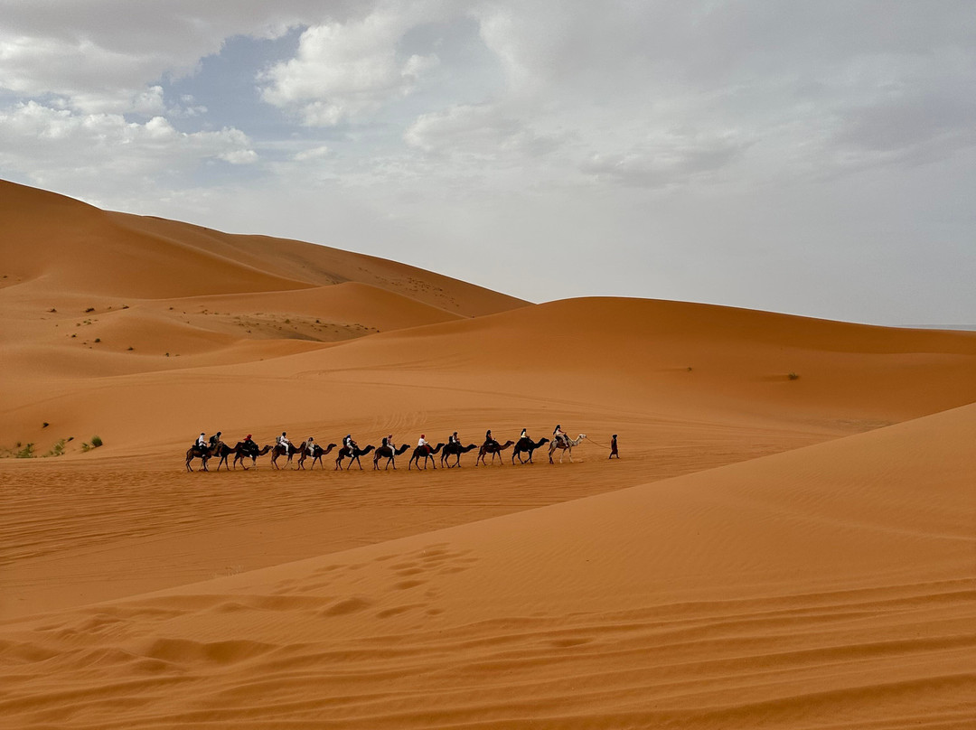 Seekers Travel Morocco-瓦尔扎扎特必去景点
