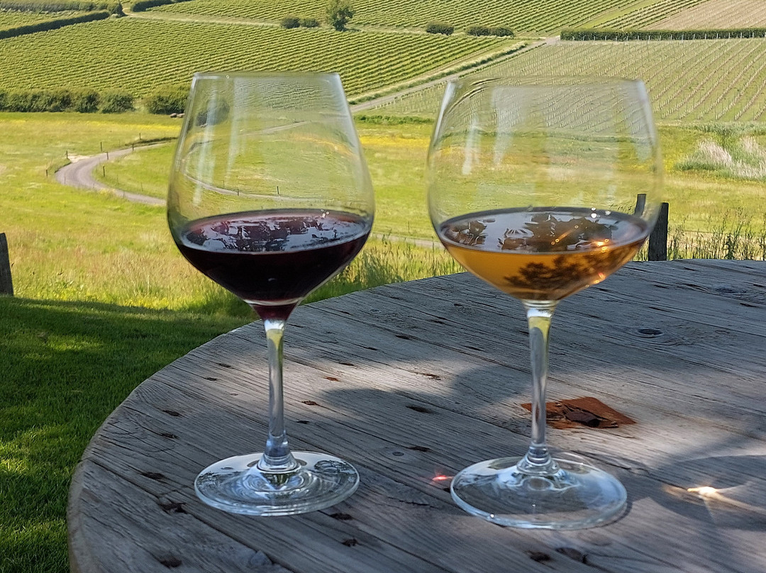 Charles Palmer Vineyards-Winchelsea必去景点
