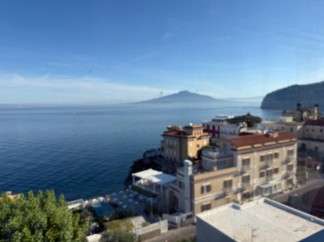 Hotel Mediterraneo Sorrento主图